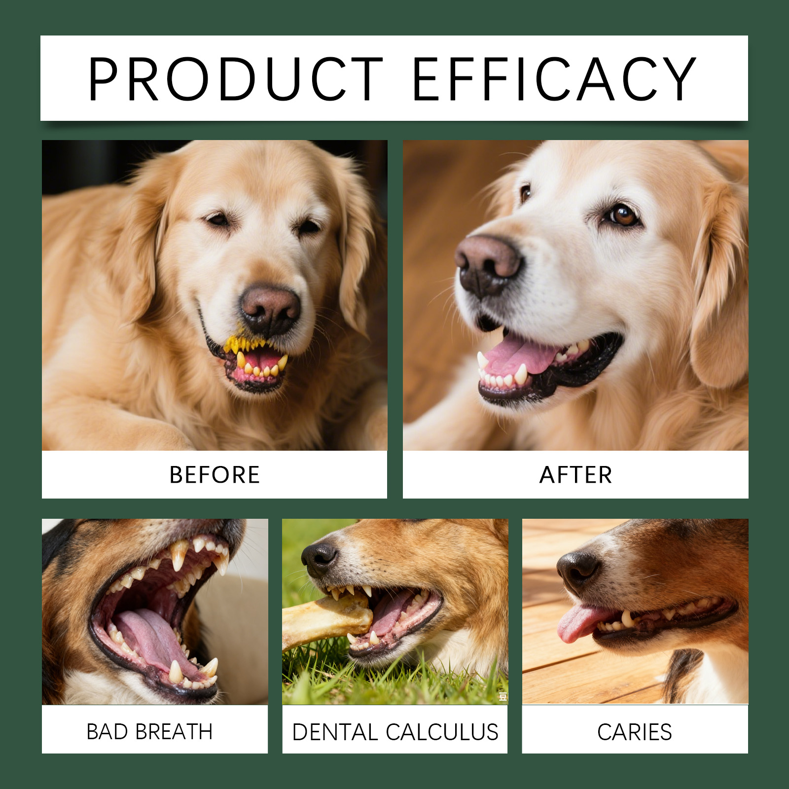 Dog Dental Care Powder Cat Bre - Teeth Whitening Powder recension och pris